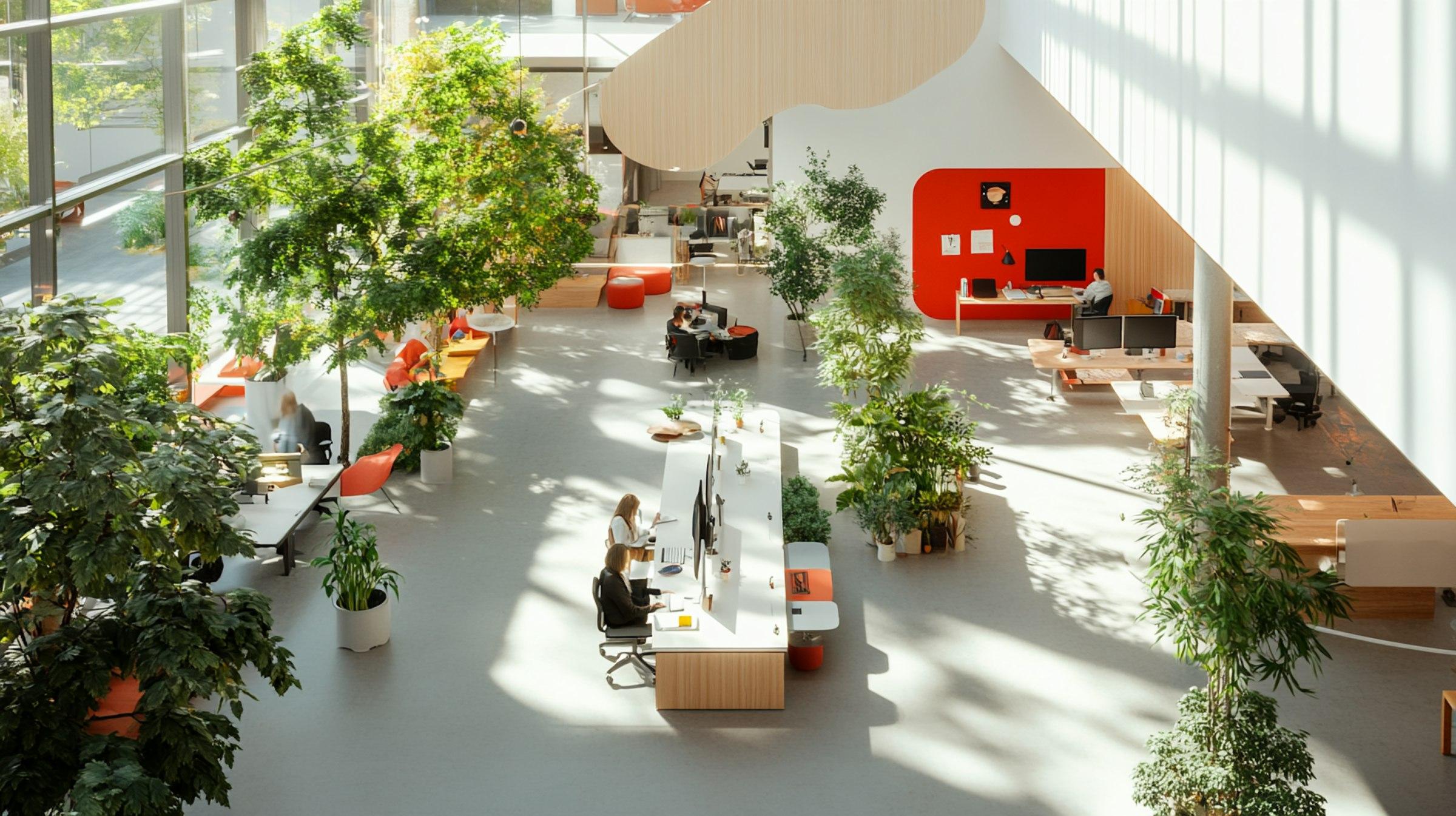 Social Responsibility Management