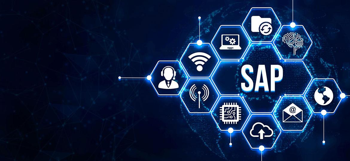 Future of Sustainable Enterprises